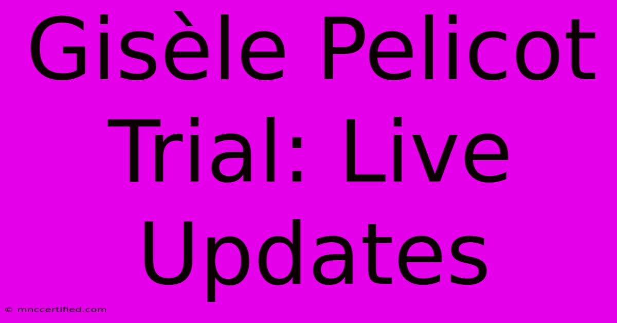 Gisèle Pelicot Trial: Live Updates