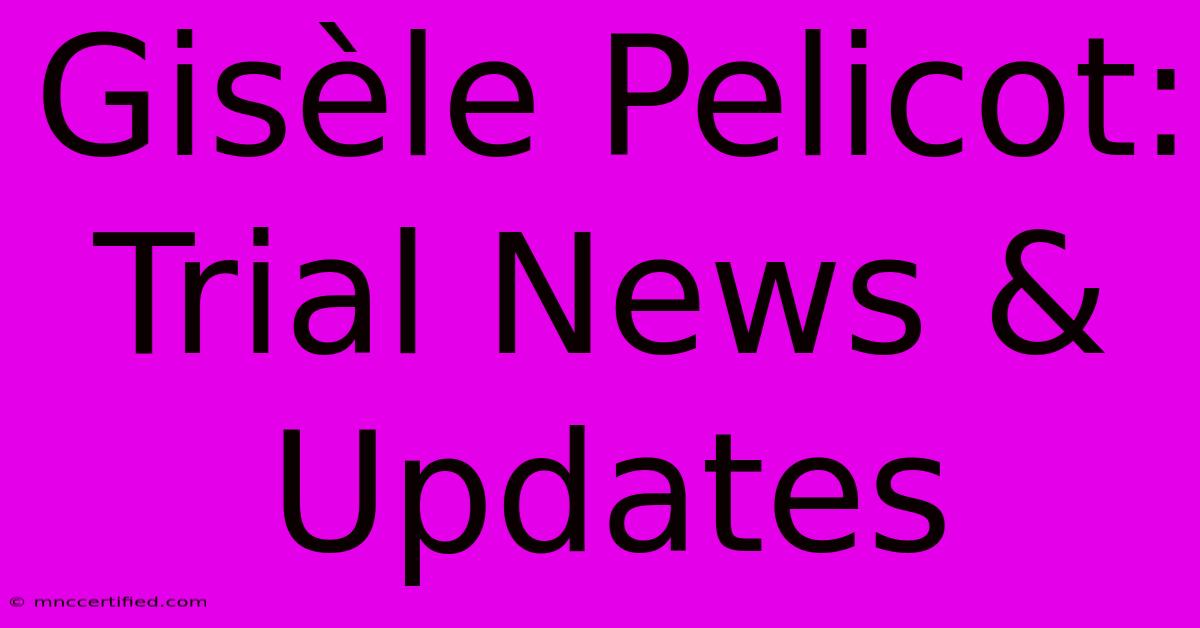 Gisèle Pelicot: Trial News & Updates