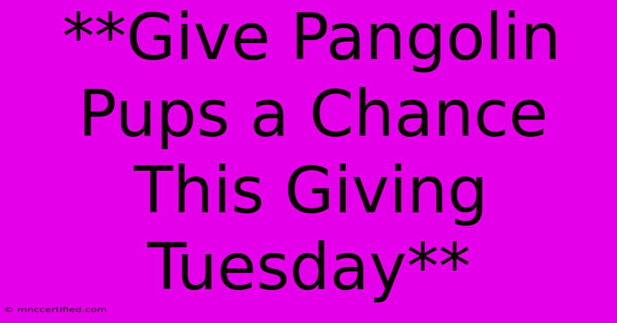 **Give Pangolin Pups A Chance This Giving Tuesday**