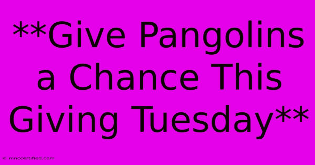 **Give Pangolins A Chance This Giving Tuesday**