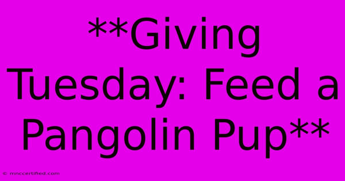 **Giving Tuesday: Feed A Pangolin Pup**