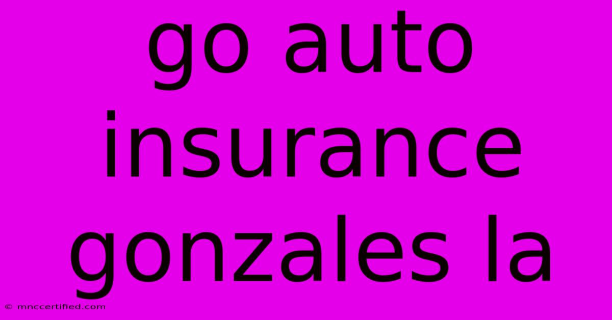 Go Auto Insurance Gonzales La