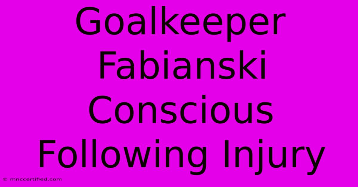 Goalkeeper Fabianski Conscious Following Injury