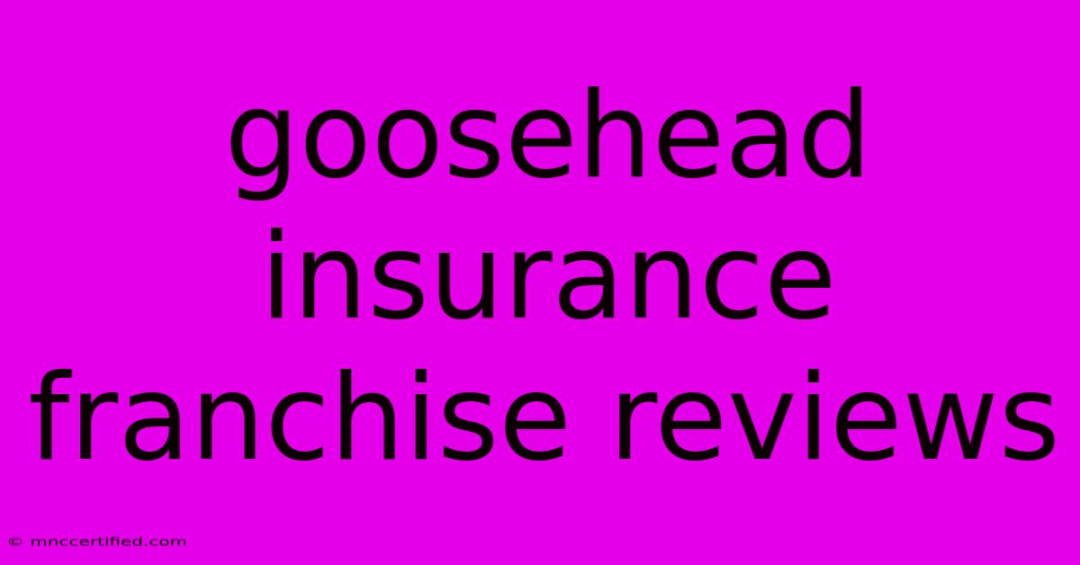 Goosehead Insurance Franchise Reviews