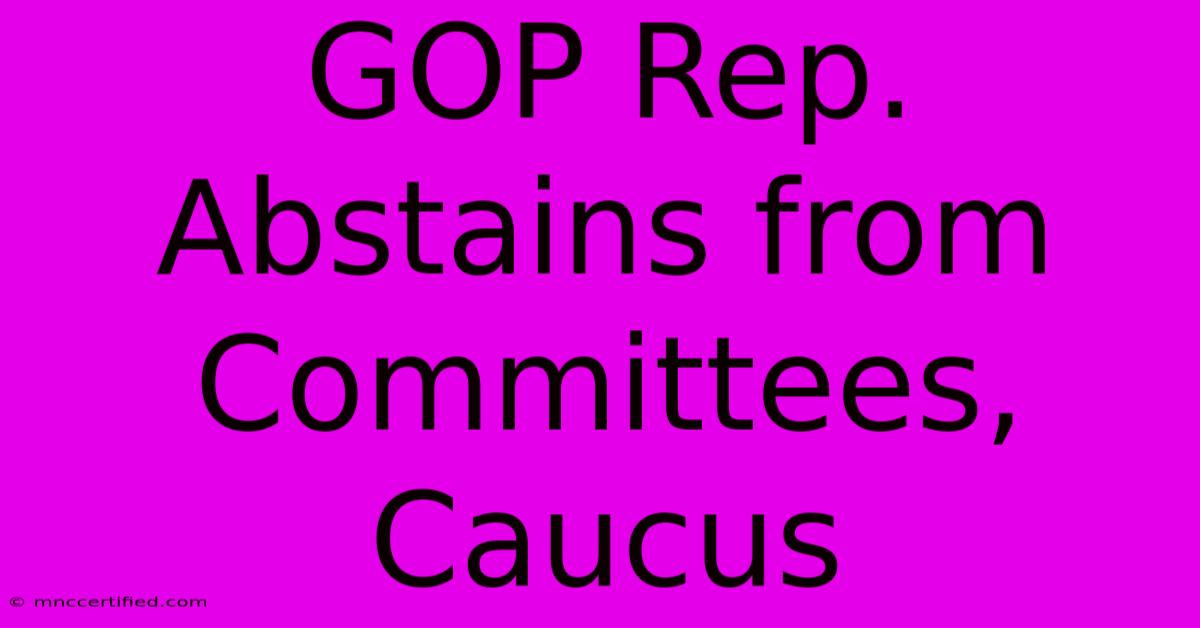 GOP Rep. Abstains From Committees, Caucus