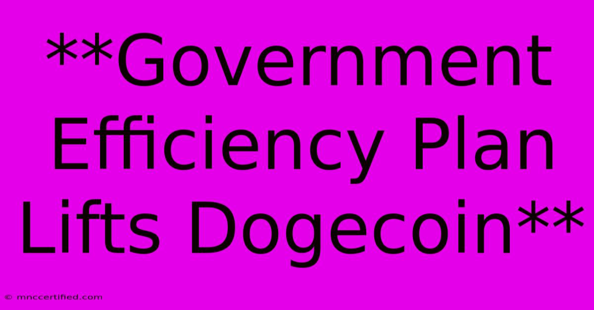 **Government Efficiency Plan Lifts Dogecoin** 