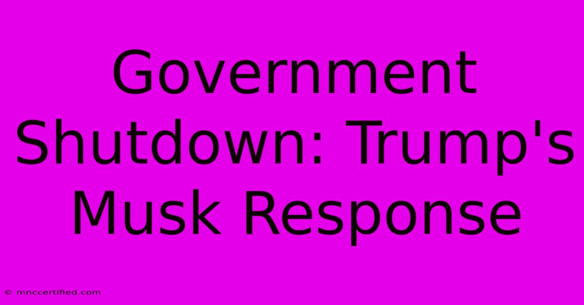 Government Shutdown: Trump's Musk Response