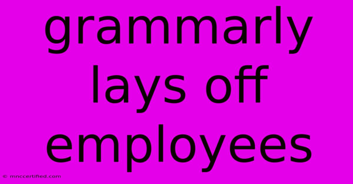 Grammarly Lays Off Employees