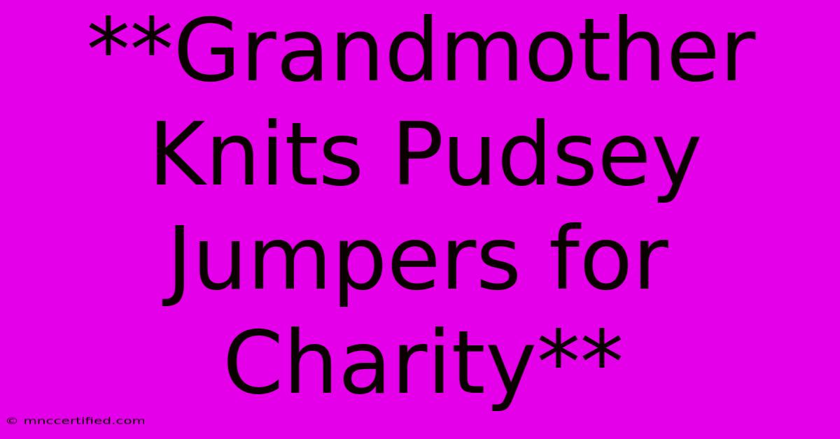 **Grandmother Knits Pudsey Jumpers For Charity**