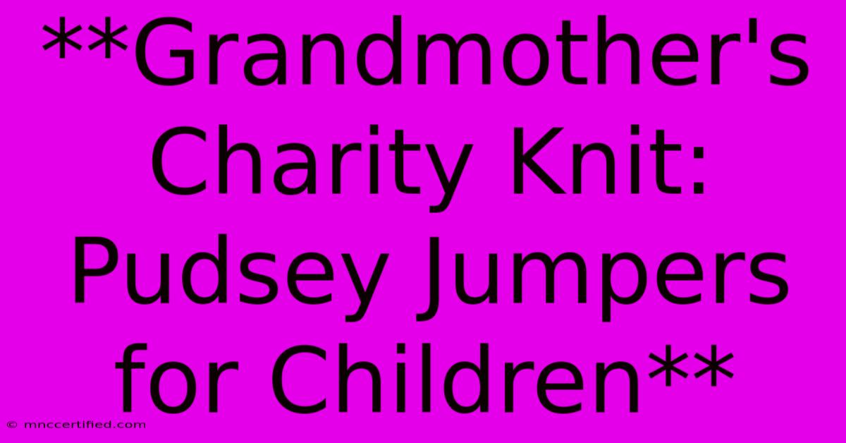 **Grandmother's Charity Knit: Pudsey Jumpers For Children**