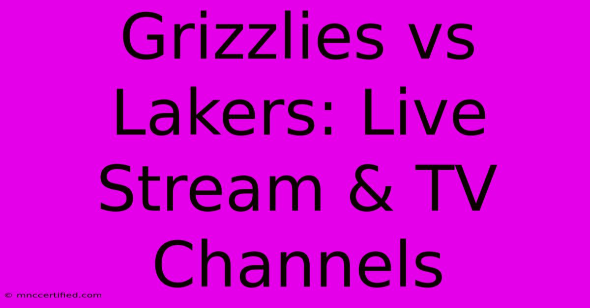 Grizzlies Vs Lakers: Live Stream & TV Channels 