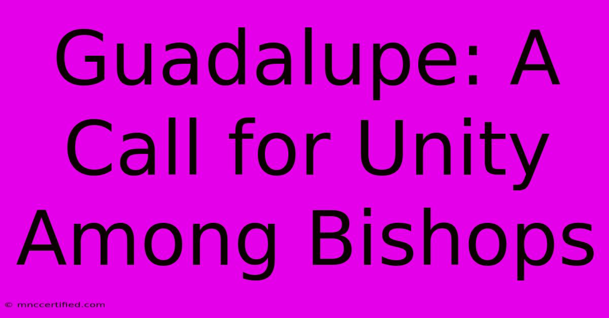 Guadalupe: A Call For Unity Among Bishops