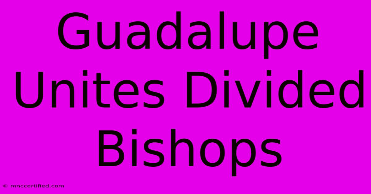 Guadalupe Unites Divided Bishops