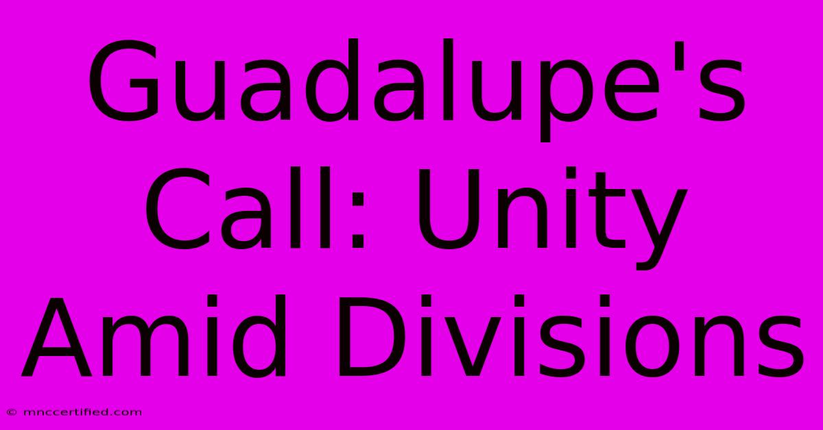 Guadalupe's Call: Unity Amid Divisions