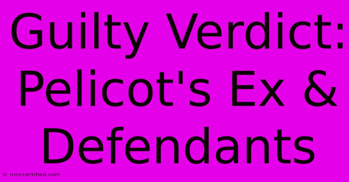 Guilty Verdict: Pelicot's Ex & Defendants