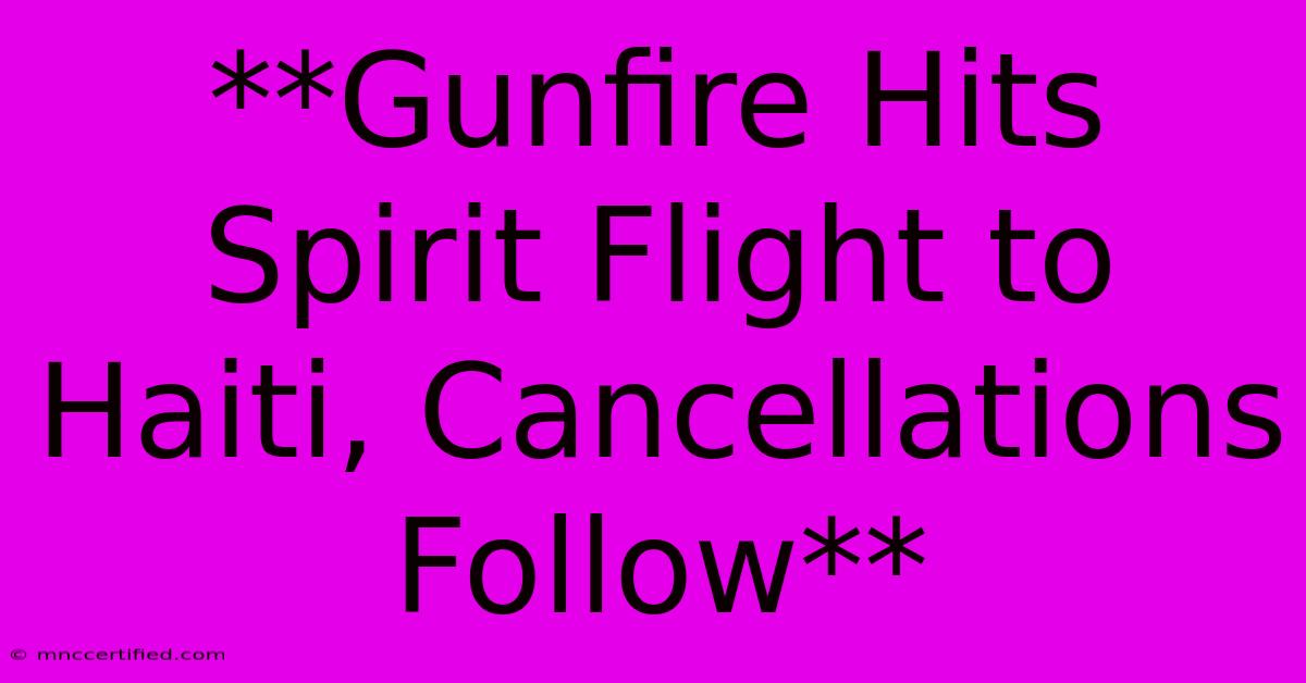 **Gunfire Hits Spirit Flight To Haiti, Cancellations Follow** 