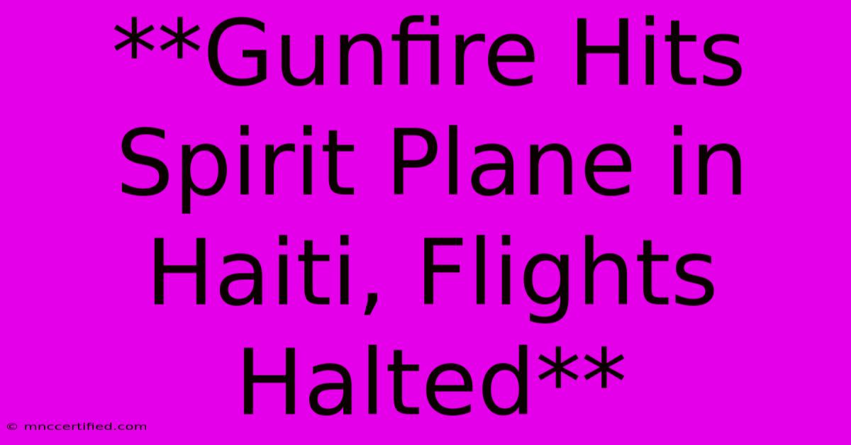 **Gunfire Hits Spirit Plane In Haiti, Flights Halted**