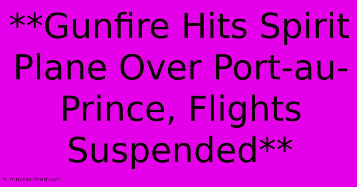 **Gunfire Hits Spirit Plane Over Port-au-Prince, Flights Suspended**