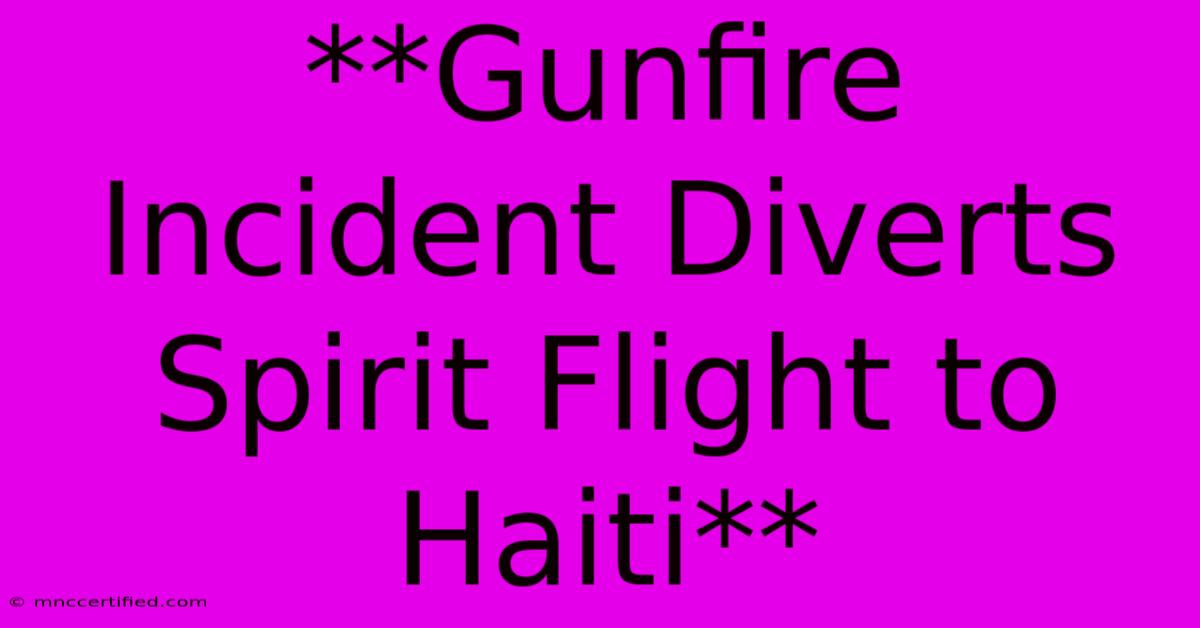 **Gunfire Incident Diverts Spirit Flight To Haiti**