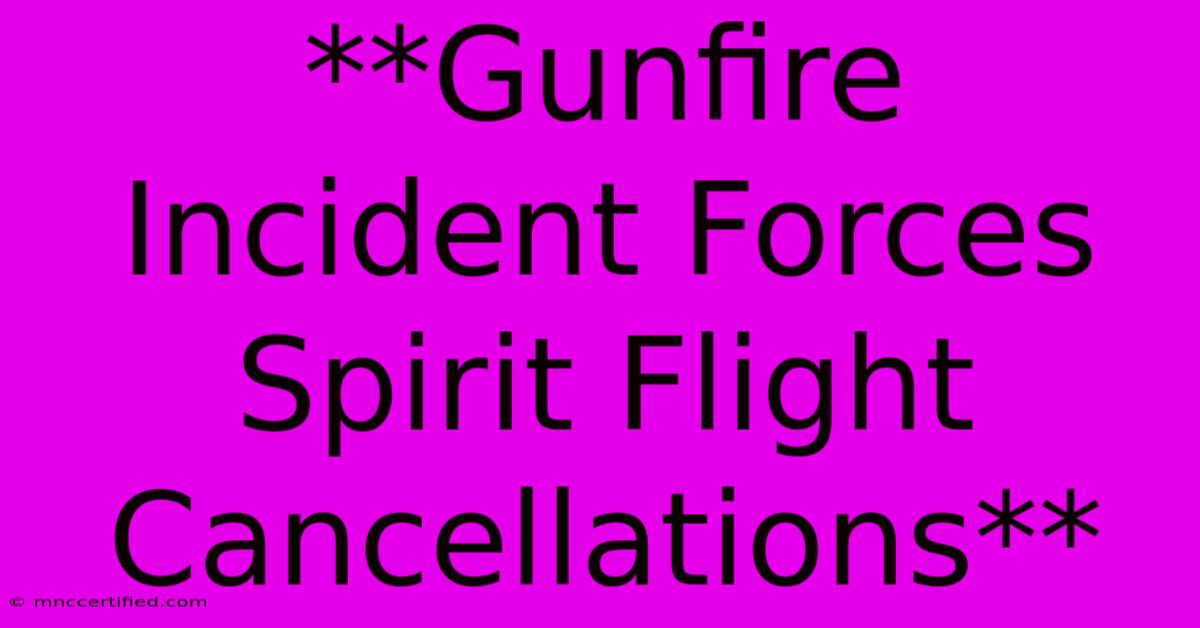 **Gunfire Incident Forces Spirit Flight Cancellations** 