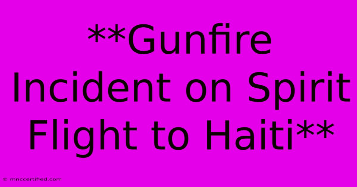 **Gunfire Incident On Spirit Flight To Haiti**