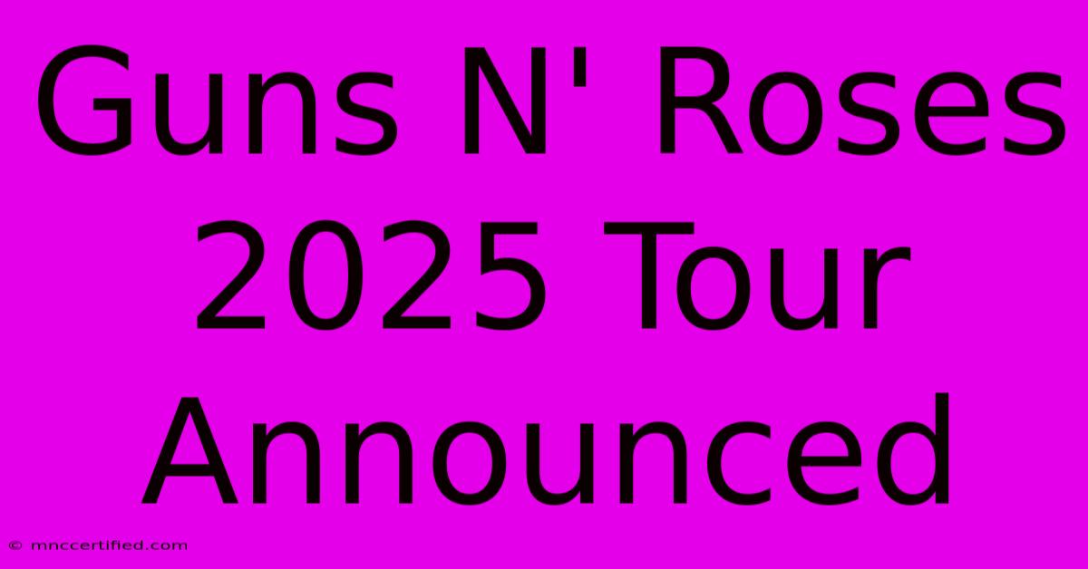 Guns N' Roses 2025 Tour Announced