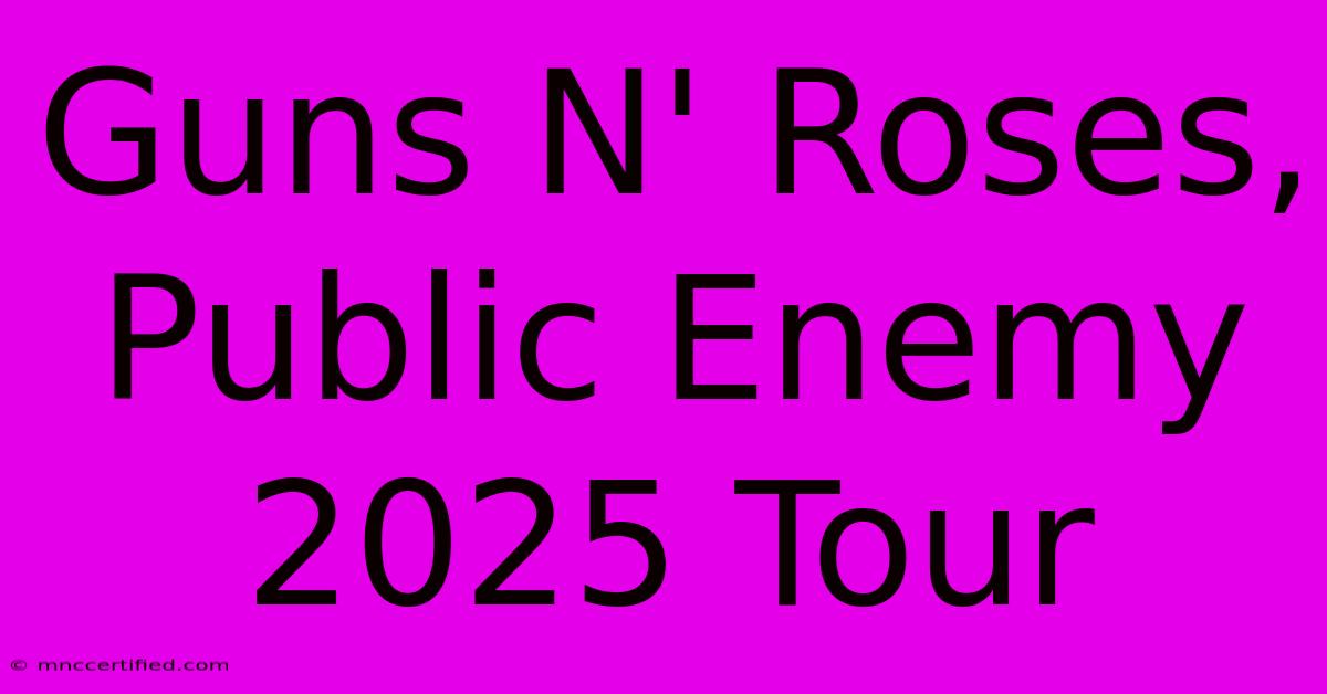 Guns N' Roses, Public Enemy 2025 Tour