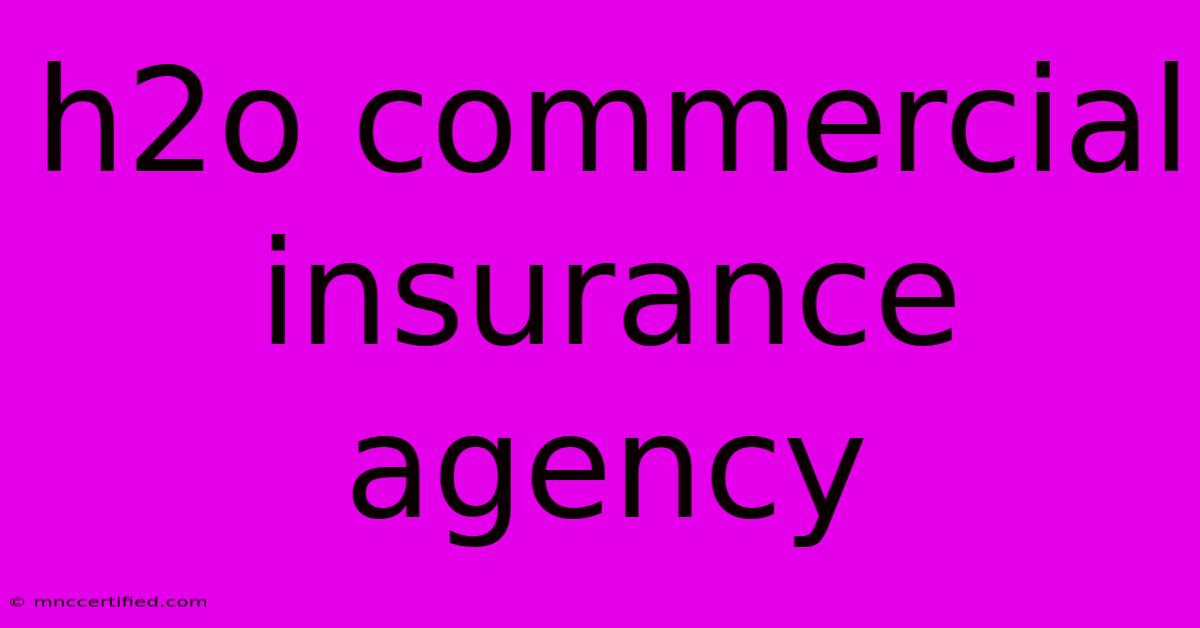 H2o Commercial Insurance Agency