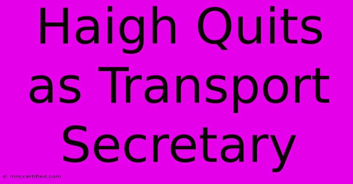 Haigh Quits As Transport Secretary