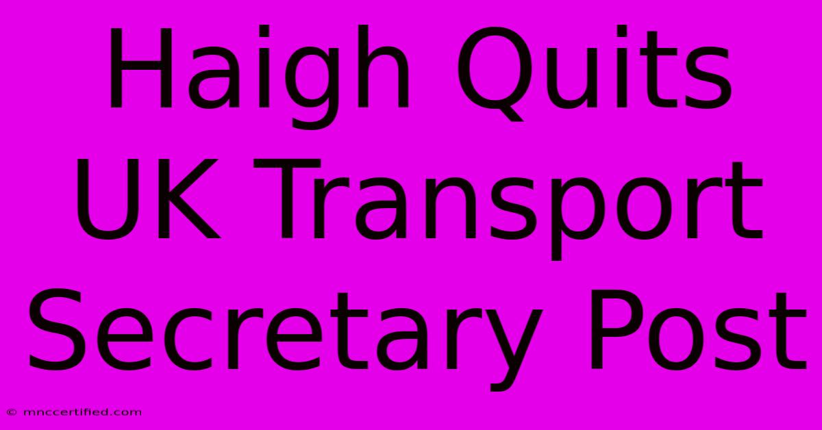 Haigh Quits UK Transport Secretary Post