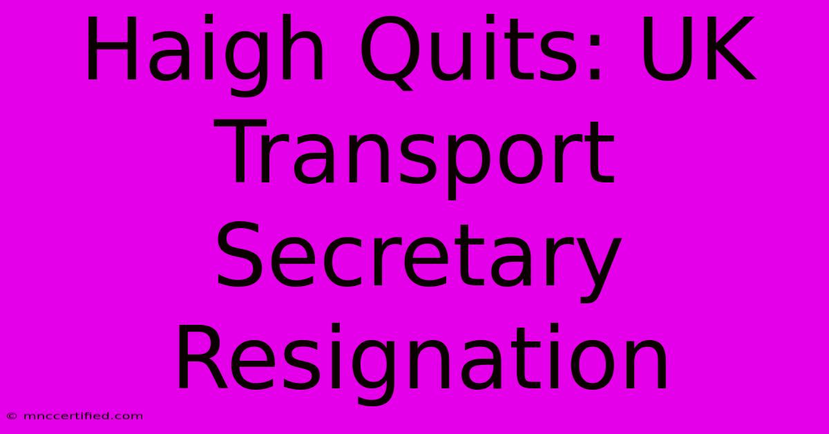 Haigh Quits: UK Transport Secretary Resignation