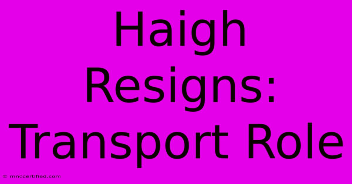 Haigh Resigns: Transport Role