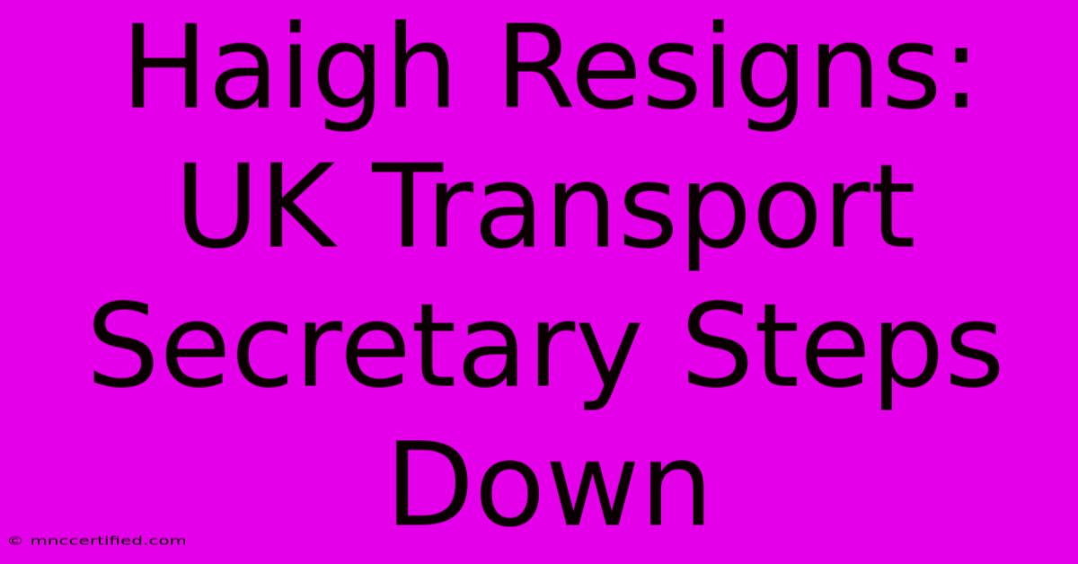 Haigh Resigns: UK Transport Secretary Steps Down