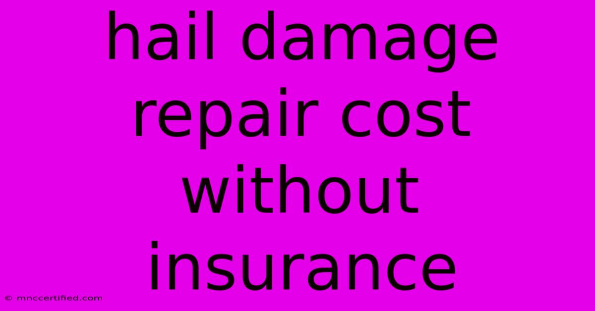 Hail Damage Repair Cost Without Insurance