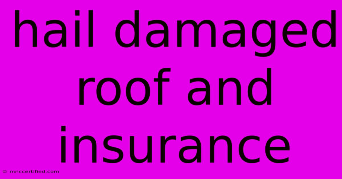 Hail Damaged Roof And Insurance