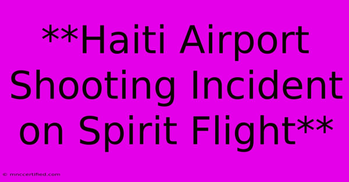 **Haiti Airport Shooting Incident On Spirit Flight** 