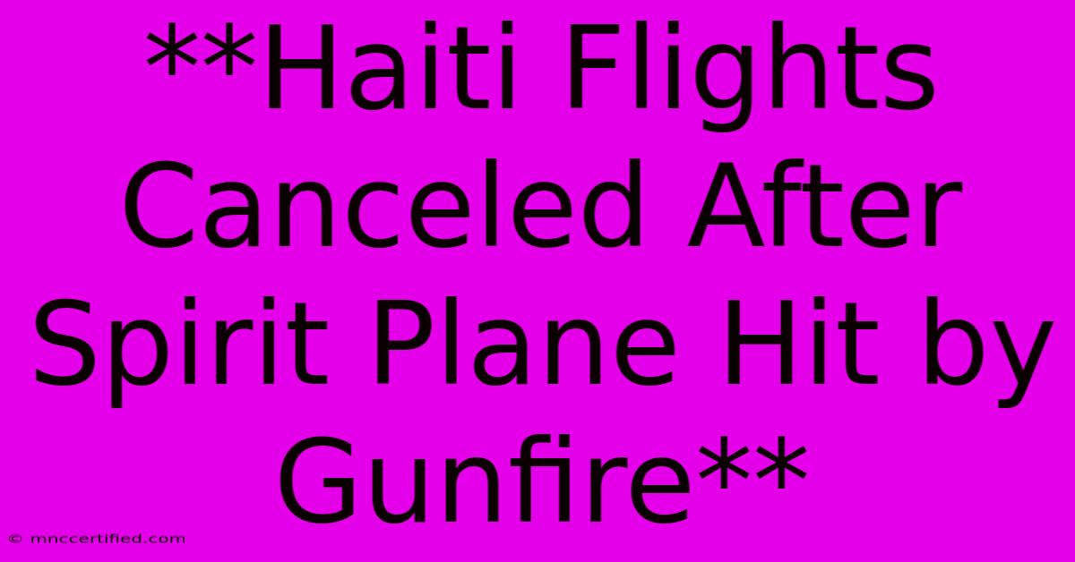 **Haiti Flights Canceled After Spirit Plane Hit By Gunfire**