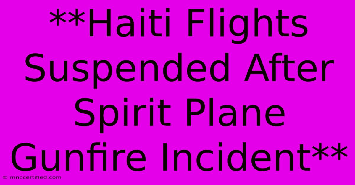 **Haiti Flights Suspended After Spirit Plane Gunfire Incident** 