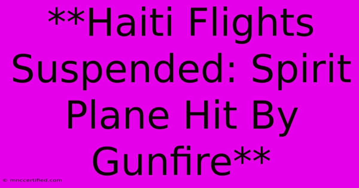 **Haiti Flights Suspended: Spirit Plane Hit By Gunfire**