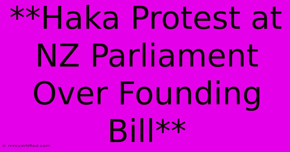 **Haka Protest At NZ Parliament Over Founding Bill**