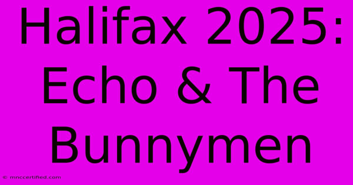 Halifax 2025: Echo & The Bunnymen