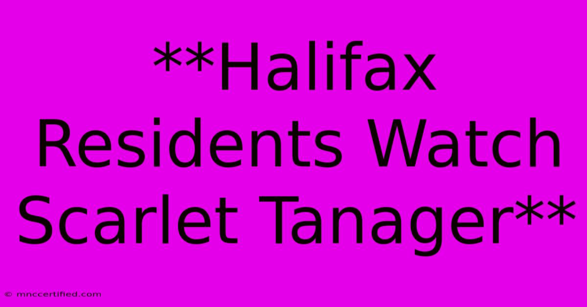 **Halifax Residents Watch Scarlet Tanager**