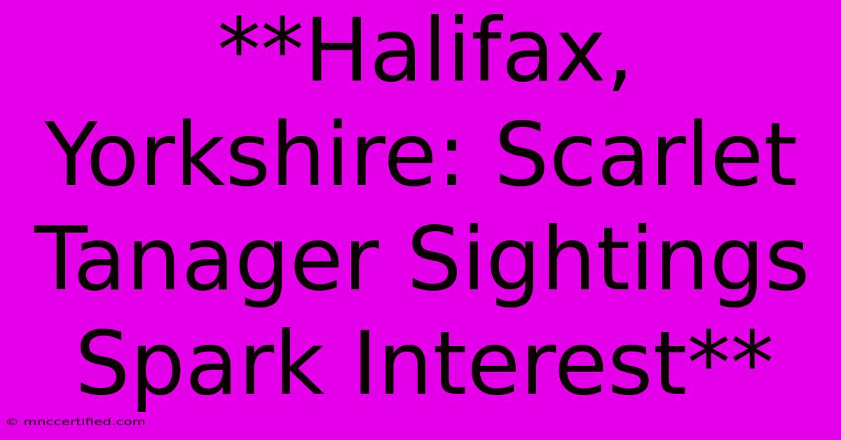 **Halifax, Yorkshire: Scarlet Tanager Sightings Spark Interest**