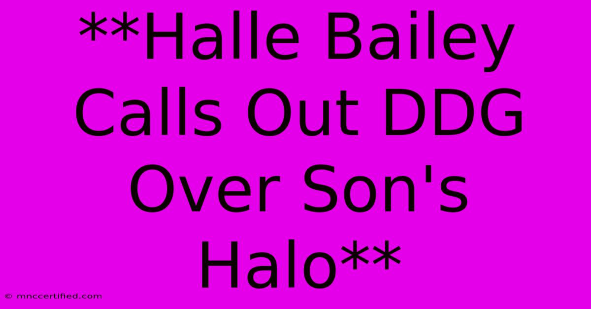 **Halle Bailey Calls Out DDG Over Son's Halo** 