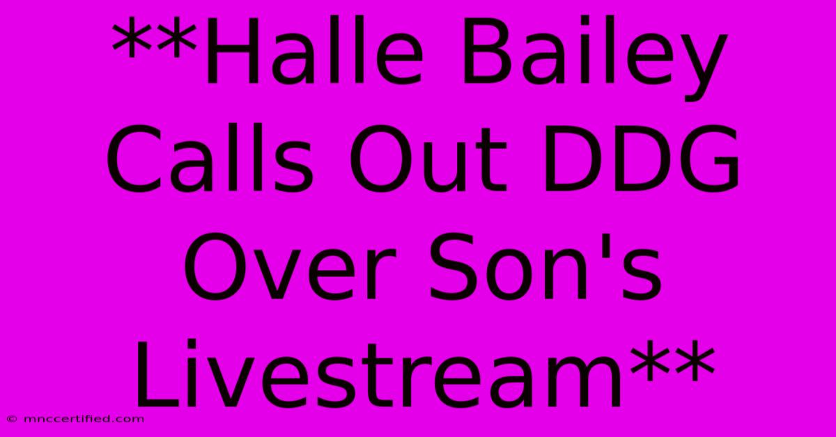 **Halle Bailey Calls Out DDG Over Son's Livestream**