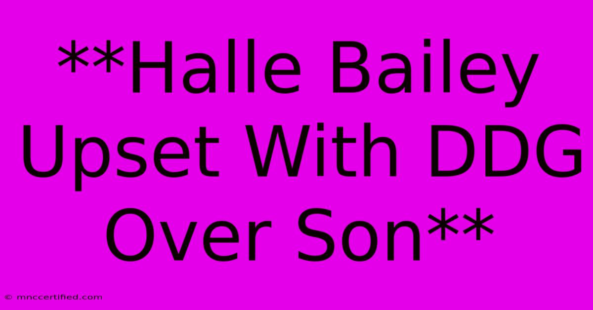 **Halle Bailey Upset With DDG Over Son**