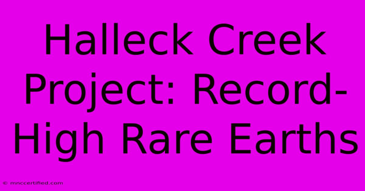 Halleck Creek Project: Record-High Rare Earths