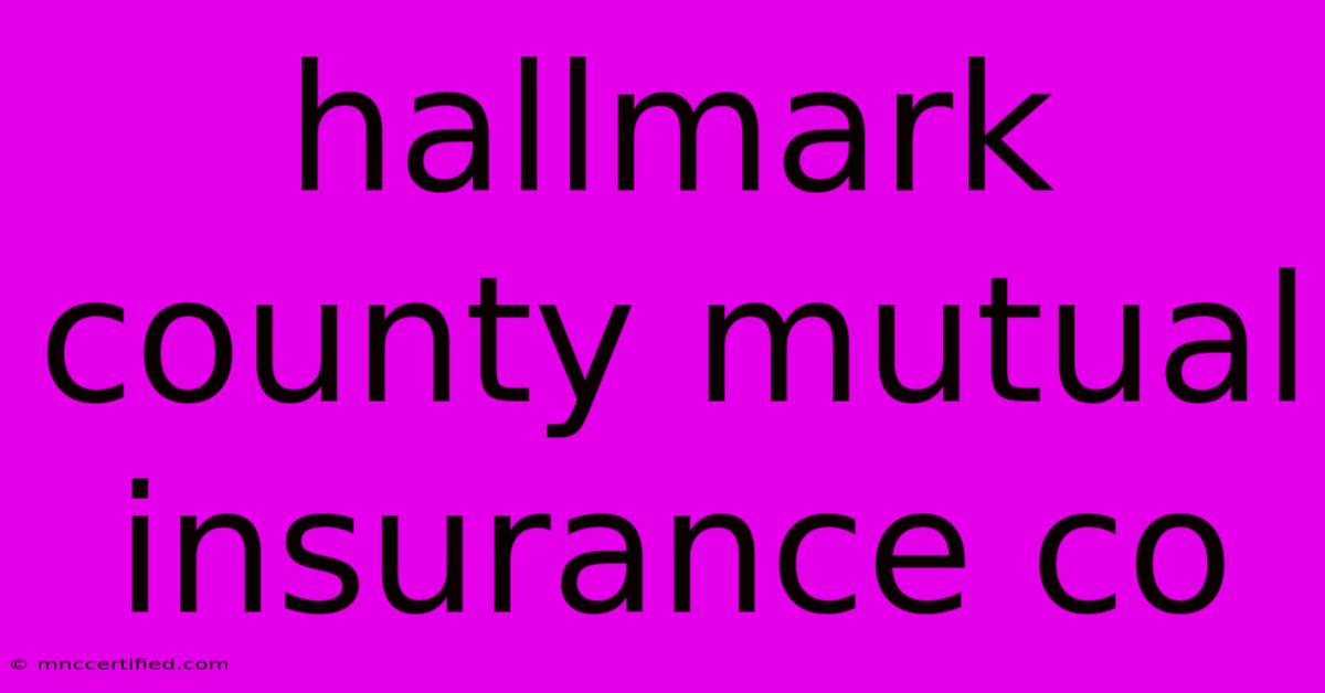 Hallmark County Mutual Insurance Co