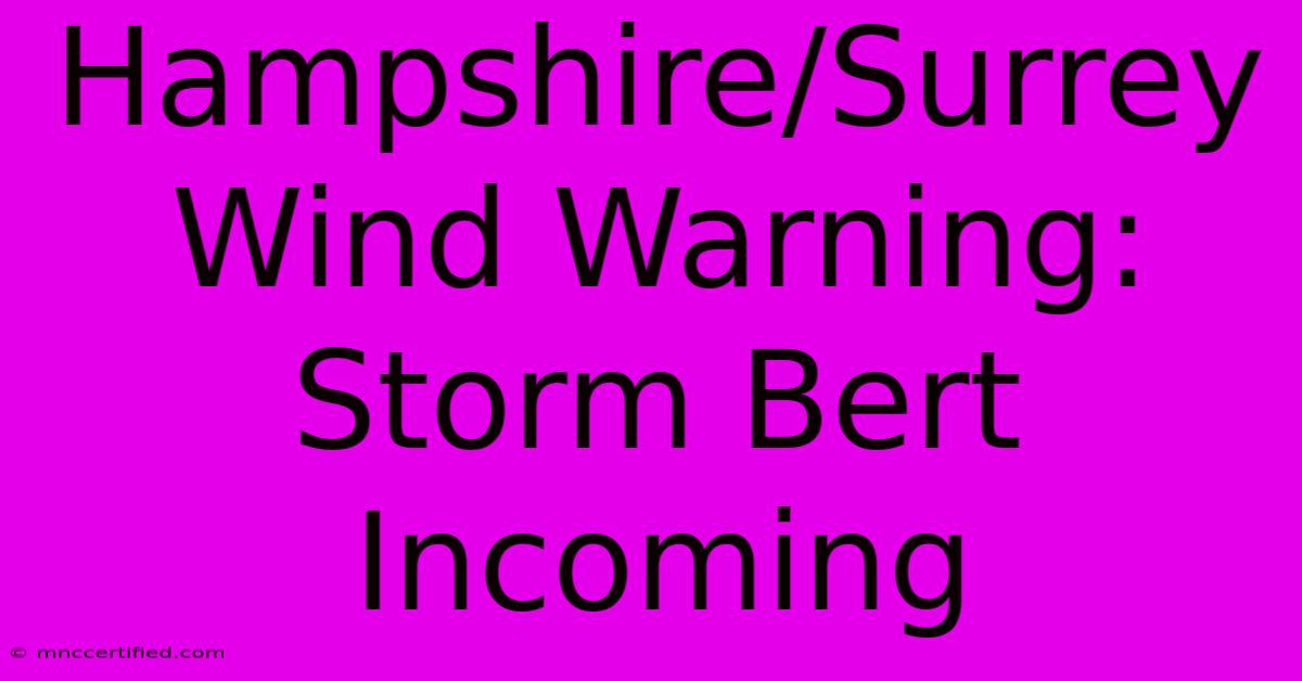 Hampshire/Surrey Wind Warning: Storm Bert Incoming