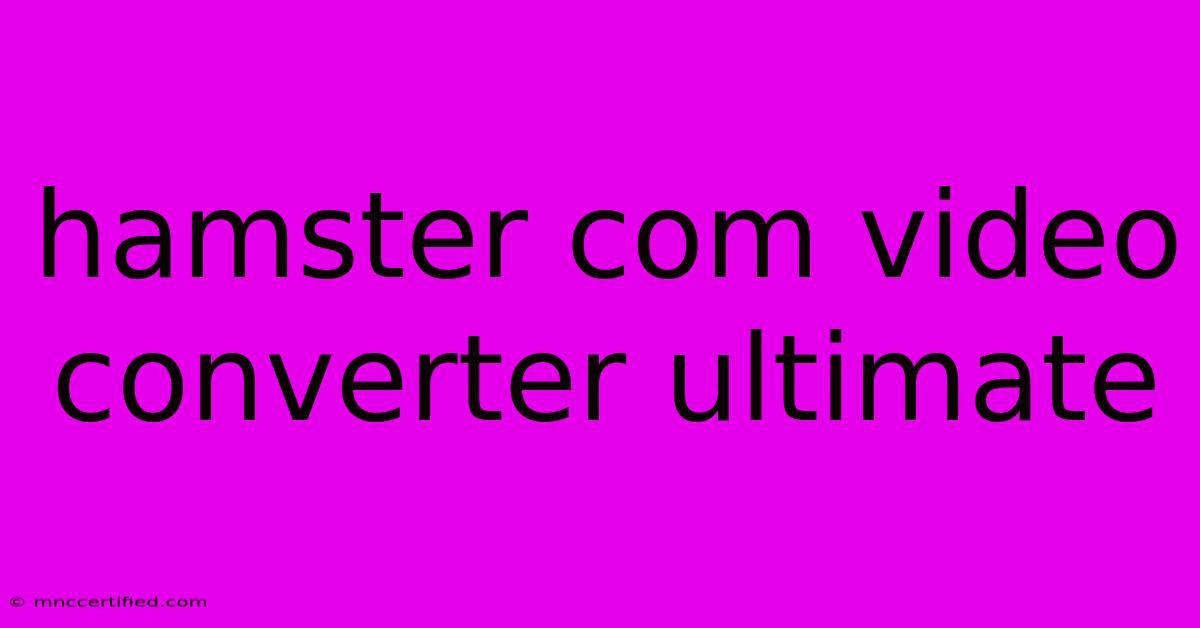 Hamster Com Video Converter Ultimate